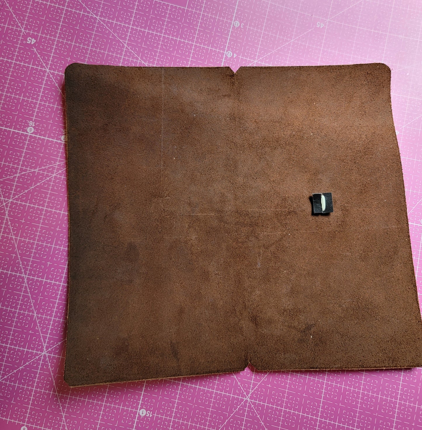 9' x 10'(ish) leather Journal cover (unburnished)